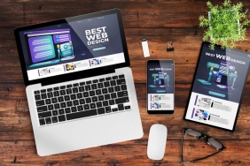 Wordpress Uzmanı (3)