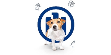 allianz-turkiye-haytapa-destegini-buyutuyor.jpg