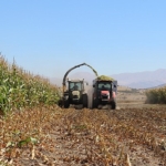 antalya-buyuksehir-belediyesi-tohum-destegiyle-ureticilerin-yanindaelmalida-silajlik-misir-hasadi-yapildi.jpg