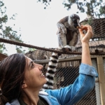 antalya-dogal-yasam-parkinda-yavru-lemur-sevinci.jpg