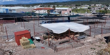 ayvalikta-kurban-pazari-hizmete-acildi.jpg