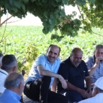 baskan-altay-altinekinde-hasat-yapti.jpg