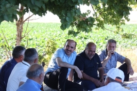 baskan-altay-altinekinde-hasat-yapti.jpg