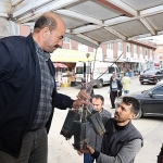 baskan-altay-mikro-klima-etkisine-sahip-bolgelerimizde-kurakliga-dayanikli-yapisiyla-antep-fistigini-yayginlastiriyoruz.jpg