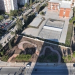 betonun-arasindan-orman-cikti.jpg