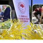 beydagda-kozalar-ipek-acti.jpg