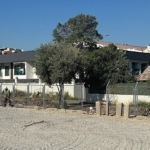 bornovada-spora-yatirim-donemi.jpg