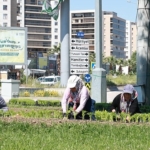 bu-yaz-osmangazide-cicek-kokulari-eksik-olmayacak.jpg