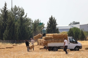 buca-belediyesinden-hayvanciliga-can-suyu.jpg