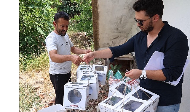 buyuksehirden-800-dekar-araziye-faydali-bocek-destegi.jpg