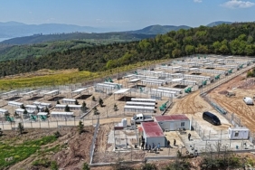 buyuksehirden-sahipsiz-kopeklere-yeni-yuva.jpg