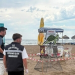 didim-belediyesi-ekiplerinin-zamaninda-mudahalesi-caretta-carettayi-kurtardi.jpg