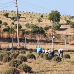 didim-belediyesi-uretiyor-didim-guzellesiyor.jpg