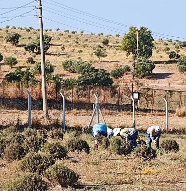 didim-belediyesi-uretiyor-didim-guzellesiyor.jpg