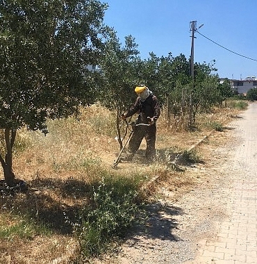 didim-belediyesi-yesil-alanlarda-bakim-calismalarini-surduruyor.jpg