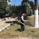didim-belediyesinden-kente-ozenli-dokunus-kendi-uretimi-cicekler-toprakla-bulusuyor.jpg