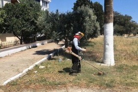 didim-belediyesinden-kente-ozenli-dokunus-kendi-uretimi-cicekler-toprakla-bulusuyor.jpg