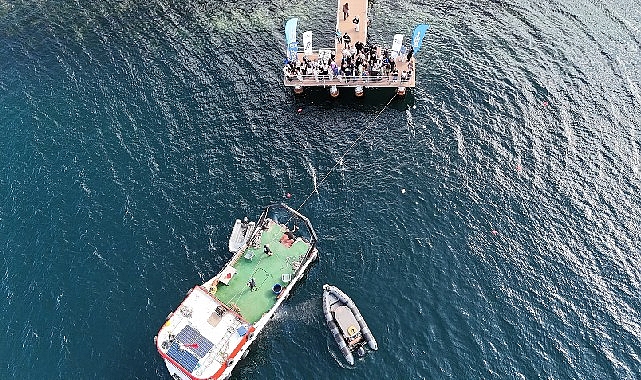 Dip çamuruydu, canlılara yuva oldu