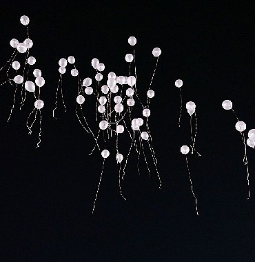 Gökyüzüne pembe balon bıraktılar
