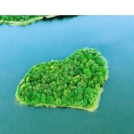 ingnin-iklim-hedefleri-bilimsel-tabanli-hedefler-girisimi-sbti-tarafindan-dogrulandi.jpg