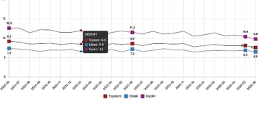 isgucu-istatistikleri-haziran-2026.jpg
