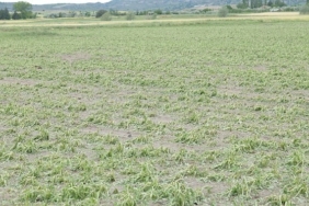 kahramankazanda-saganak-ve-dolu-hayati-felc-etti.jpg