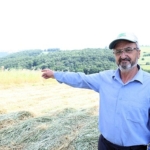 kocaelide-sut-otu-hasadi-basladi.jpg