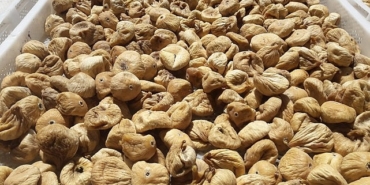 kuru-incir-uzak-pazarlara-yelken-acti.jpg