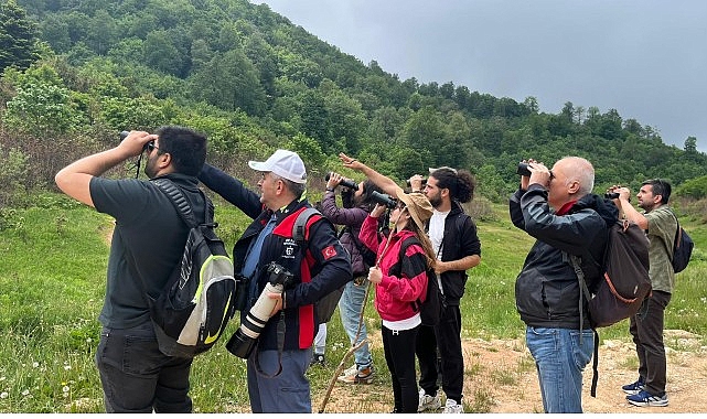 featured