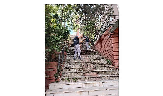 maltepe-belediyesinden-altintepede-temizlik-harekati.jpg