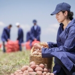 pepsico-turkiyeden-16-agustos-dunya-patates-gununde-yenileyici-tarimda-buyuk-basari-patates-uretiminin-%89u-yenileyici-tarim-uygulamalariyla-gerceklesiyor.jpg