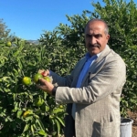 satsuma-mandalinanin-ihracat-yolculugu-18-ekimde-basliyor.jpg
