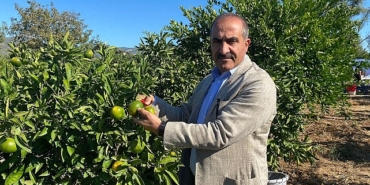 satsuma-mandalinanin-ihracat-yolculugu-18-ekimde-basliyor.jpg