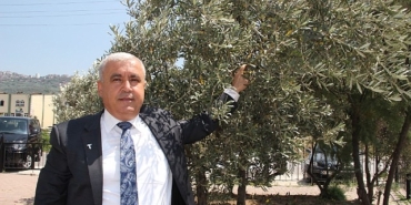 sofralik-zeytin-ihracatinda-tarihi-rekor-sofralik-zeytin-ihracati-210-milyon-dolara-ulasti.jpg