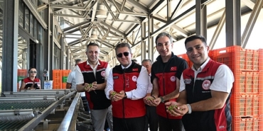 turkiyede-sezonun-ilk-zeytin-hasadi-dikili-bademlide-gerceklestirildi.jpg