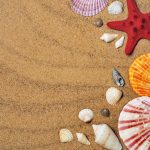 uploaded-image-jakaranda-bitkisi-nedir-1699701763764