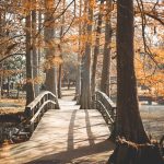 uploaded-image-kazakistanda-gezilecek-yerler-1699701578939