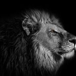 uploaded-image-koc-burcu-ozellikleri-koc-burcu-analizi-1699701431486