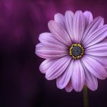 uploaded-image-konteyner-nedir-cesitleri-nelerdir-1699701811370