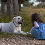 uploaded-image-kopeklerde-kopeklerarasi-iletisim-1699701622917
