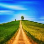 uploaded-image-sagir-kopekler-nasil-egitilir-1699701831794