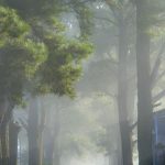 uploaded-image-tarsus-gezilecek-yerler-1699701465911