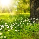 uploaded-image-yuzey-antijeni-nedir-1699701751088