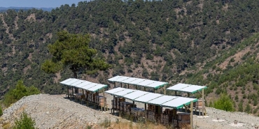 yenisehirde-3-bin-600-dekarlik-ari-cenneti.jpg